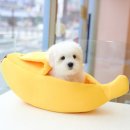 달링하이울산 이미지