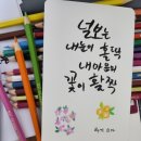 선캘리