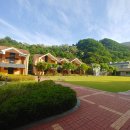 동해무릉건강숲 이미지