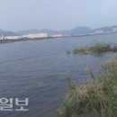 낙동강수상스포츠 이미지