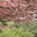 충혼탑화장실 이미지