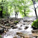 새재이동커피 Daum카페