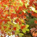 바람아래 이미지