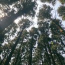 예래동사무소 | 첫 가족여행, 제주에서 2박3일 여행코스+숙소+맛집