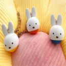 제이에스 이미지