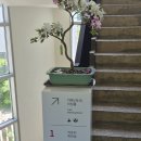 길천로 | 울산 영남알프스 뷰카페 카페 농도 🌿 저수지 풍경에 힐링하고 온 후기