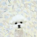 트리밍스튜디오제제 이미지