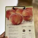 [일상여행] 허브롤까스/디오차드에서 힐링 내돈내산 후기 :-)