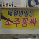 꽃돼지갈매기 네이버블로그