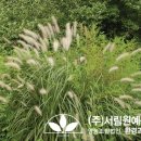 조경설계서림 이미지