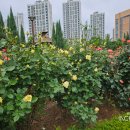 어울근린공원 이미지