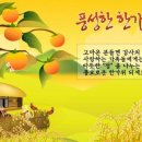 충남지체장애인협회부여군지회 Daum카페
