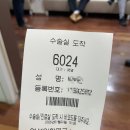 반석가금진료연구소 | [난임 일기 10] 2차 난자 채취 후기: 10개 채취, 5일 배아 동결 결과, 난자 질을 올리기 위한 조언