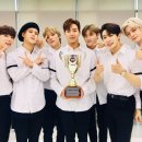 엑스 이미지
