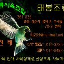 태봉조류원