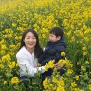 이호발전소 이미지