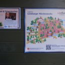 도시의 오후 이미지