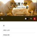 블레스펫 이미지