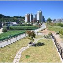 폴앤도기 동남캠퍼스 이미지