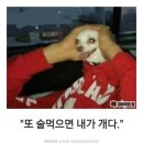 시엔