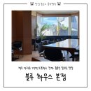카페블루하우스 | 제주 아라동 카페 추천 | 블루하우스, 홍콩 스타일 밀크티 에그타르트 맛집