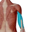 현대휘트니스 이미지