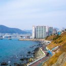 카페시도
