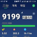 홍당무김밥 이미지