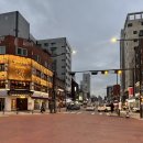 싱싱오징어바다 이미지