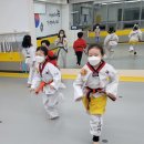 경희대사랑인태권도 이미지
