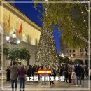 11545-04-12-01 | 12월 세비야 여행 날씨 옷차림 크리스마스 분위기 솔직후기