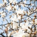 병천한의원 이미지