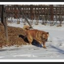 상록축산 이미지