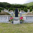 강원장의사 이미지