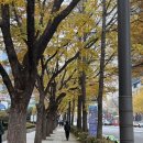 대사관 | [유럽 워홀] 체코 워킹홀리데이 대사관 인터뷰 후기 (질문, 시간 등)