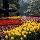 성사천어린이공원 이미지