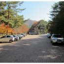 연화산 유아숲체험원 이미지