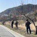 소로1리 이미지