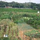 구로농장 이미지