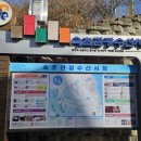 순자네횟집 - 부평구 장제로351번길 14 | 속초 맛집, 속초관광수산시장 순자네 횟집 내돈내산 후기