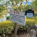 가동옛길 | [용인여행] 동백호수공원 방문 후기! (+ 음악분수 일정, 가동시간)