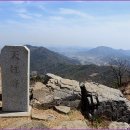 진달래꽃화원 이미지