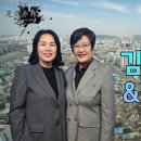 시시비비