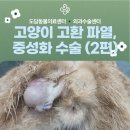 진리동물병원 이미지