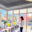 CW-1049-01 | 그해 우리는 촬영지 수원 화성행궁, 오이도 포함 10곳