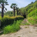 평인일주로 이미지