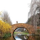 가교1리 | 창녕 영산 만년교(昌寧 寧山 萬年橋)와 수양벚꽃