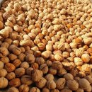 감골농장 이미지