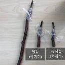 용배유통 | 일상:정보::시험:::종자기능사 실기 합격!!
