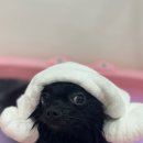 반자주 엘시티점 이미지